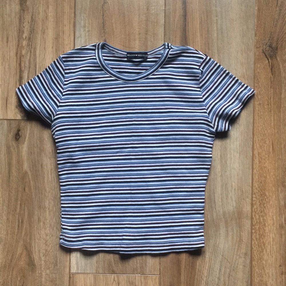 Brandy Melville Blue Striped Crop Top